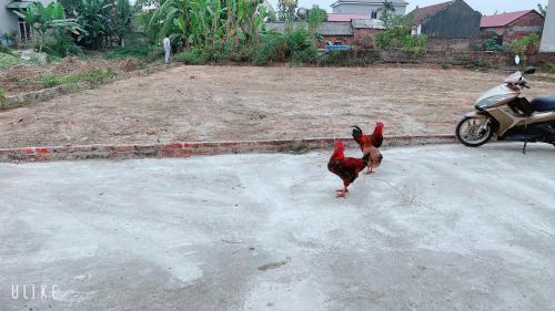 Nhà tập thể Đống Đa, gần Xã Đàn -  Sở hữu ngay không gian sống tiện nghi.